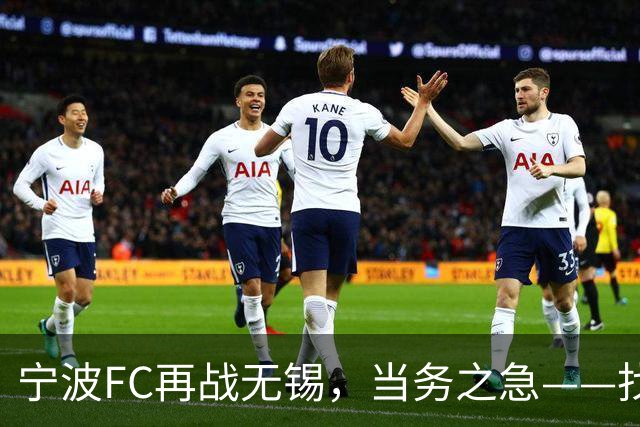 宁波FC再战无锡，当务之急——找到外援托莫维奇的使用说明书