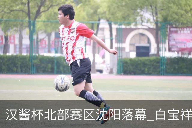 汉酱杯北部赛区沈阳落幕 白宝祥屠嘉瑞崔欣获各组冠军