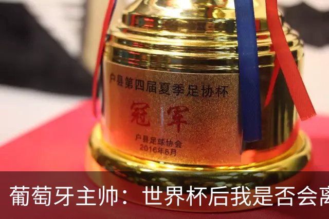 葡萄牙主帅：世界杯后我是否会离任？现在重要的是专注于世界杯