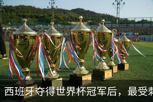 西班牙夺得世界杯冠军后，最受刺激的竟然是皇马？